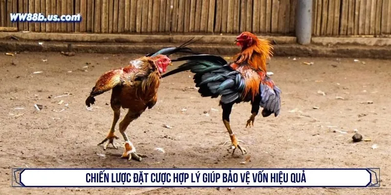 Chiến lược đặt cược hợp lý giúp bảo vệ vốn hiệu quả