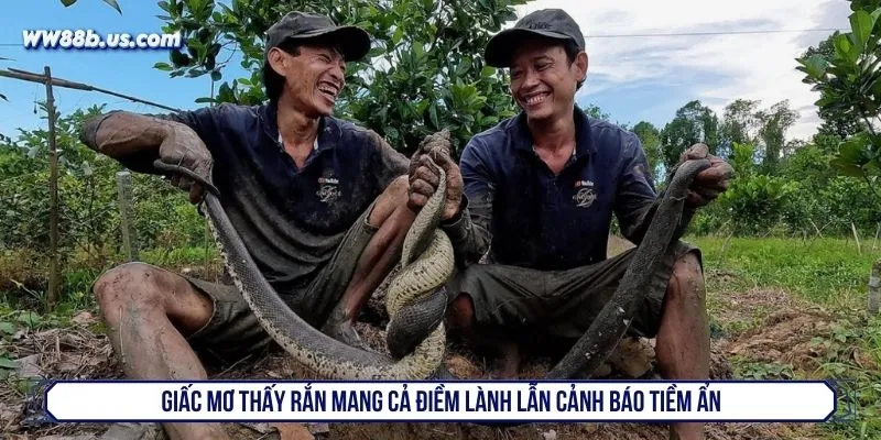 Giấc mơ thấy rắn mang cả điềm lành lẫn cảnh báo tiềm ẩn