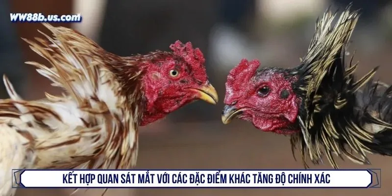 Kết hợp quan sát mắt với các đặc điểm khác tăng độ chính xác