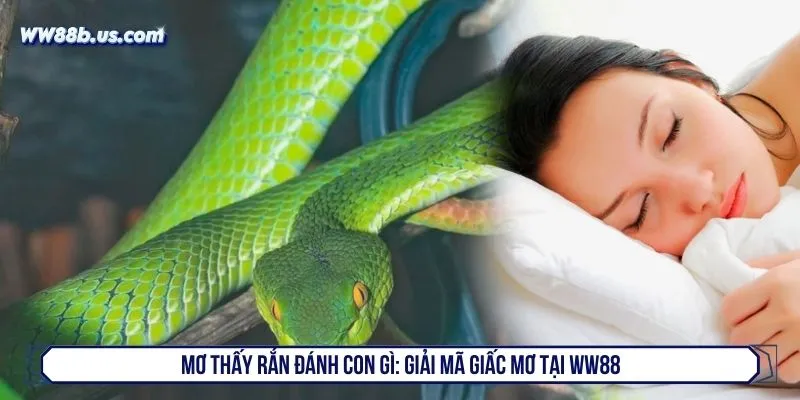 Mơ thấy rắn đánh con gì