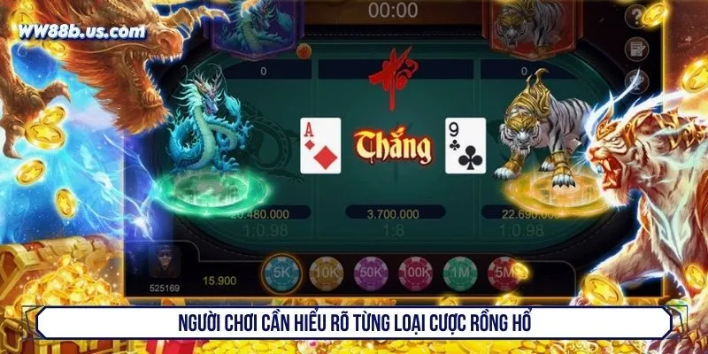 Người chơi cần hiểu rõ từng loại cược rồng hổ