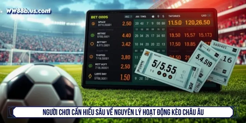 Người chơi cần hiểu sâu về nguyên lý hoạt động kèo châu Âu