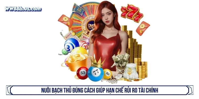 Nuôi bạch thủ đúng cách giúp hạn chế rủi ro tài chính