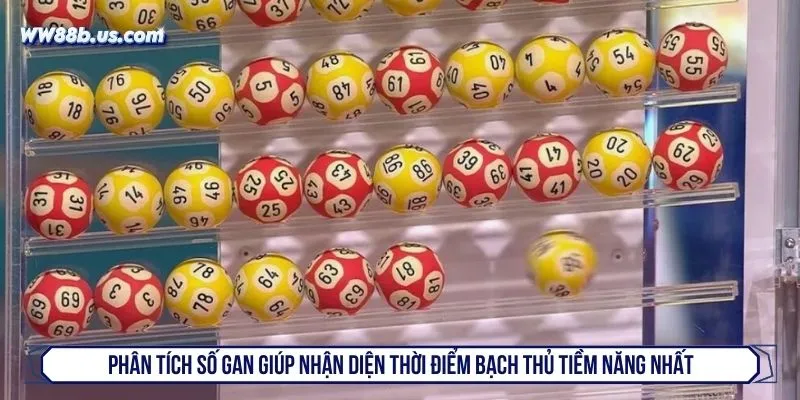 Phân tích số gan giúp nhận diện thời điểm bạch thủ tiềm năng nhất