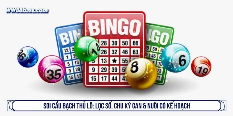 Soi cầu bạch thủ lô