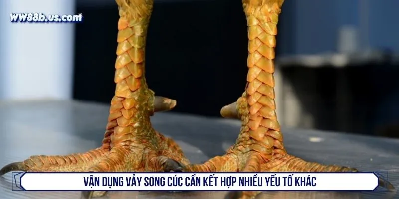 Vận dụng vảy song cúc cần kết hợp nhiều yếu tố khác